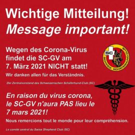 L’Assemblée Générale SCS n’aura PAS lieu le 7 mars 2021
