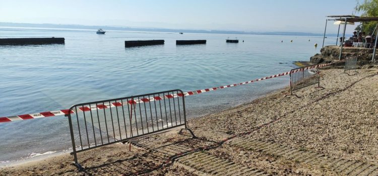 Cyanobactérie, baigneurs évacués et plages fermées