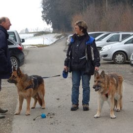 Concours ouvert samedi 23 mars 2013