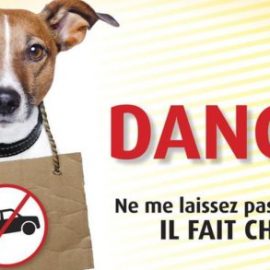 Pour protéger un chien, elle tient tête à la police