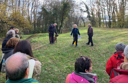 Concours de Base (CTUS) : L'Opportunité Idéale pour Débuter dans le Sport Canin !