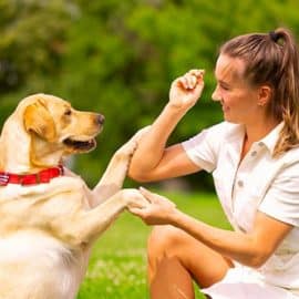 Communiquer avec son chien : 10 trucs et astuces pour y arriver !