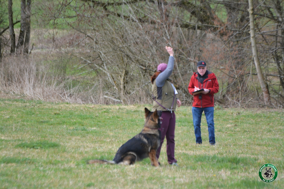 DSC_1354.jpg